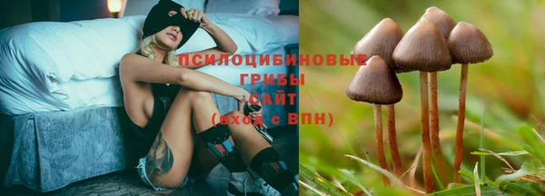 дурь Абинск