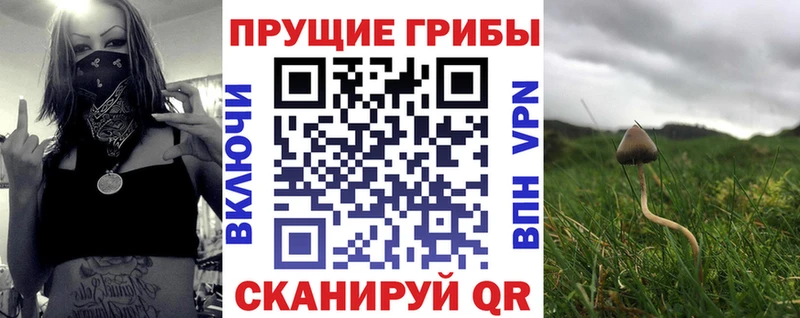 Галлюциногенные грибы Magic Shrooms  МЕГА онион  Болгар 